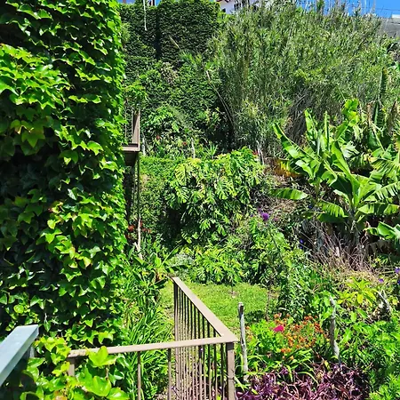 Les Terrasses Séjour chez l'habitant *