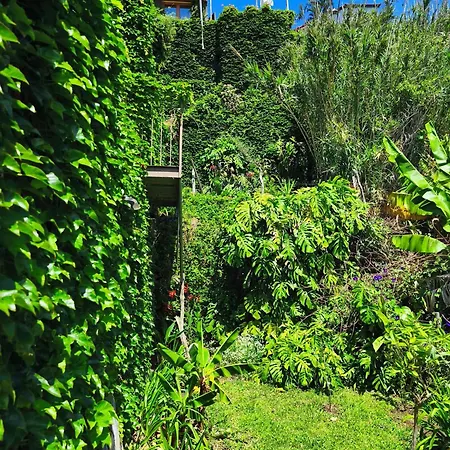 Séjour chez l'habitant Les Terrasses *