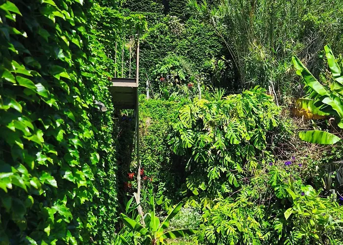 בית אירוח Les Terrasses *